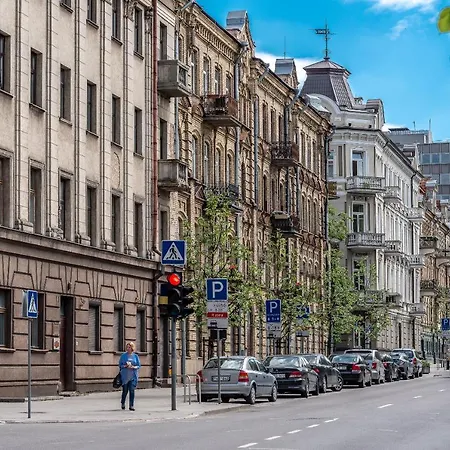 Old Town - Stylish And Spacious Apt. Vilnius